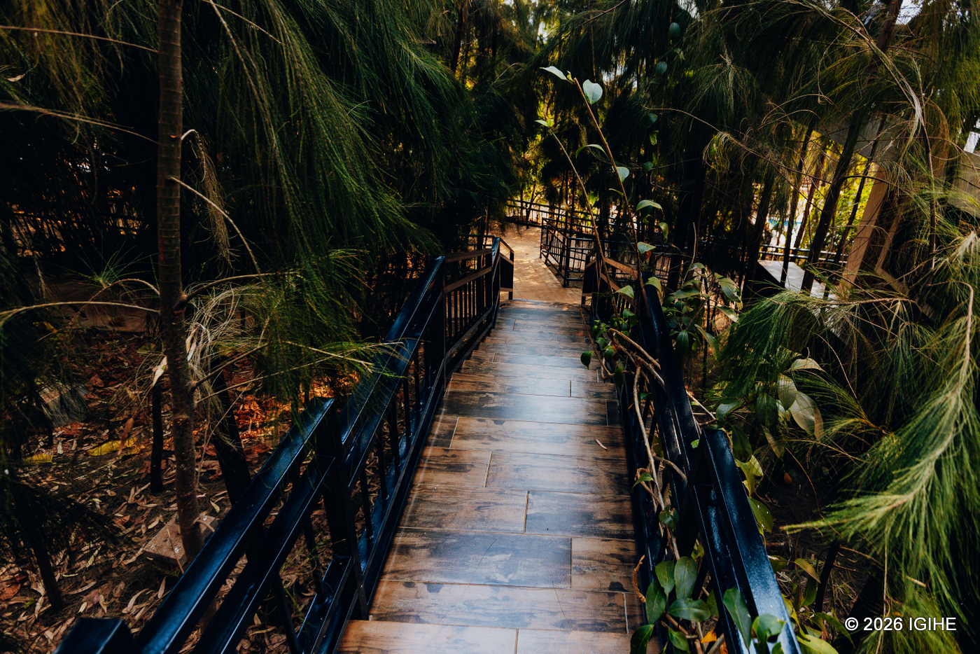 Muri Jungle Park, inzira zose zizengurutswe n'ibiti