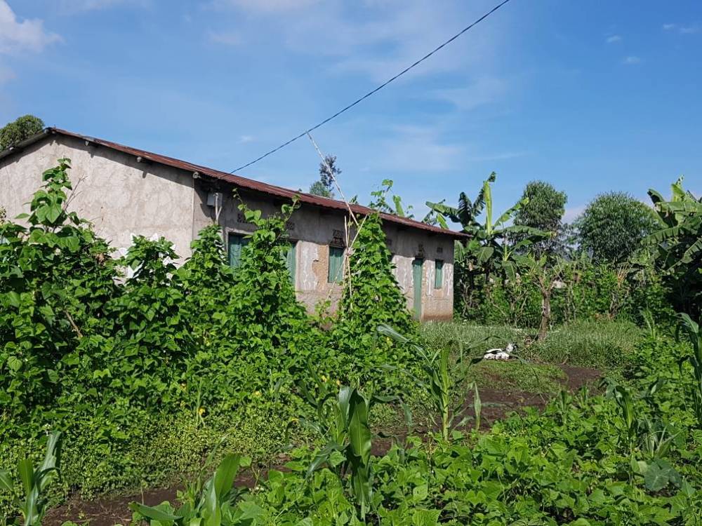 Inzu zishaje abarokotse Jenoside babamo mu mudugudu wa Rugerero