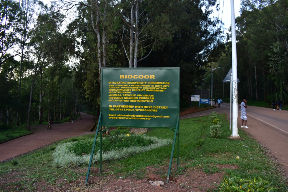 Ishyamba rya Arboretum muri Kaminuza y'u Rwanda Ishami rya Huye, rifatwa nk'ibihaha bigaburira umwuka Umujyi wa Huye wose