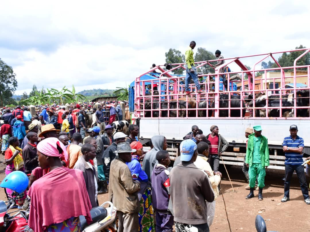Aha ni ku Isoko rya Nyamagabe hacururizwa amatungo atandukanye arimo n'ingurube