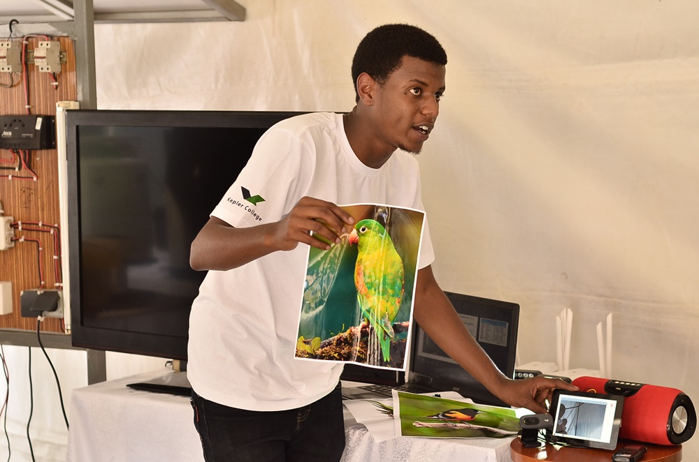 Iri koranabuhanga bivugwa ko rifite ubushobozi bwo kubona ubwoko bwose bw'inyoni