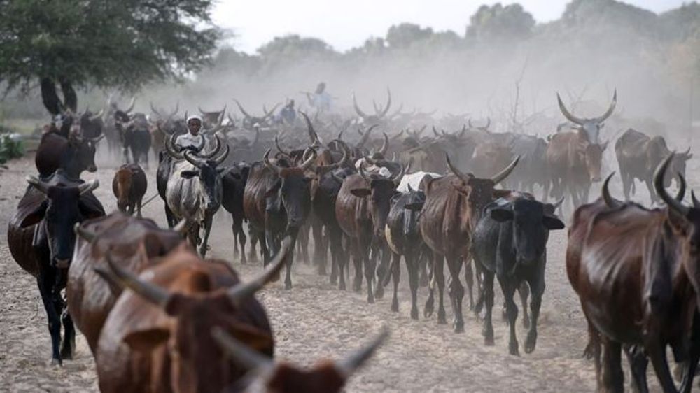 Inka za mbere zageze muri Angola nk'ubwishyu bw'ideni iberewemo na Tchad