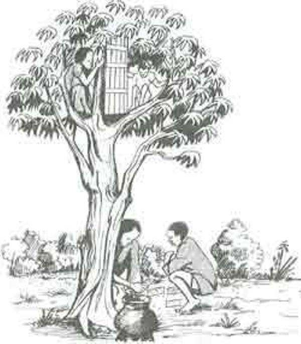 Joriji Baneti umuhungu w'igishwi wakijije nyina