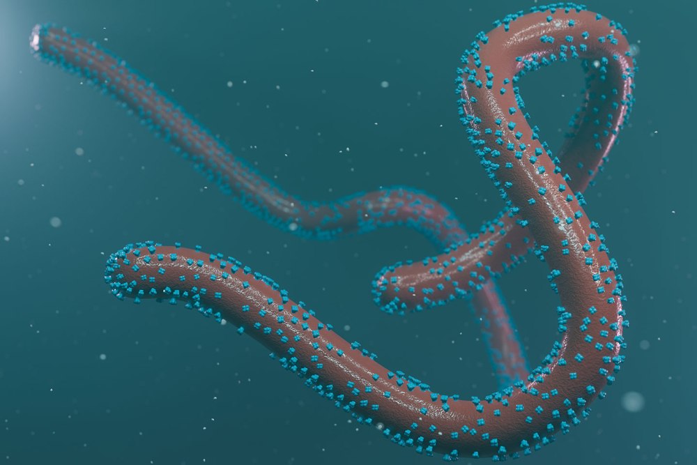 Virus ya Marburg ifite ubukana nk’ubwa Ebola yongeye kugaragara muri Guinée
