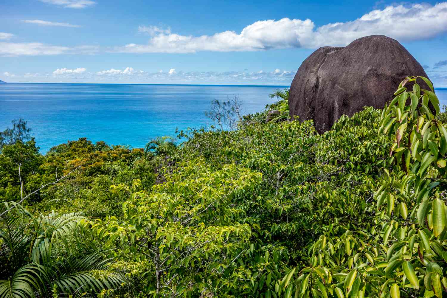 Iyi pariki yatangijwe mu 1979, ni yo nini muri Seychelles ndetse ingana na 20% by'ubuso bw'Ikirwa cya Mahé
