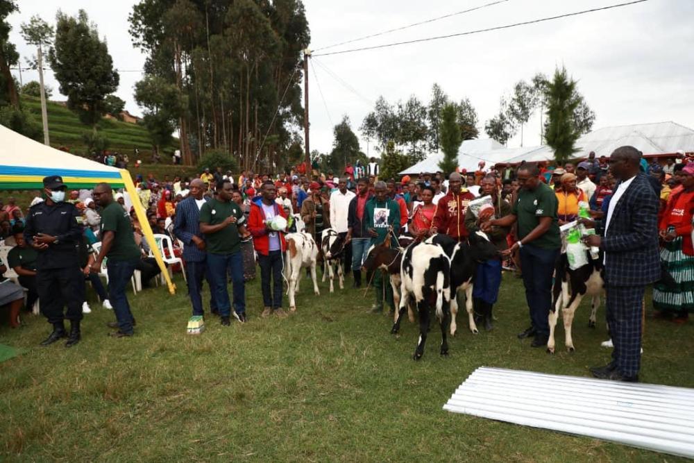 Muri iki cyumweru hari gutangwa n'inka ku batishoboye