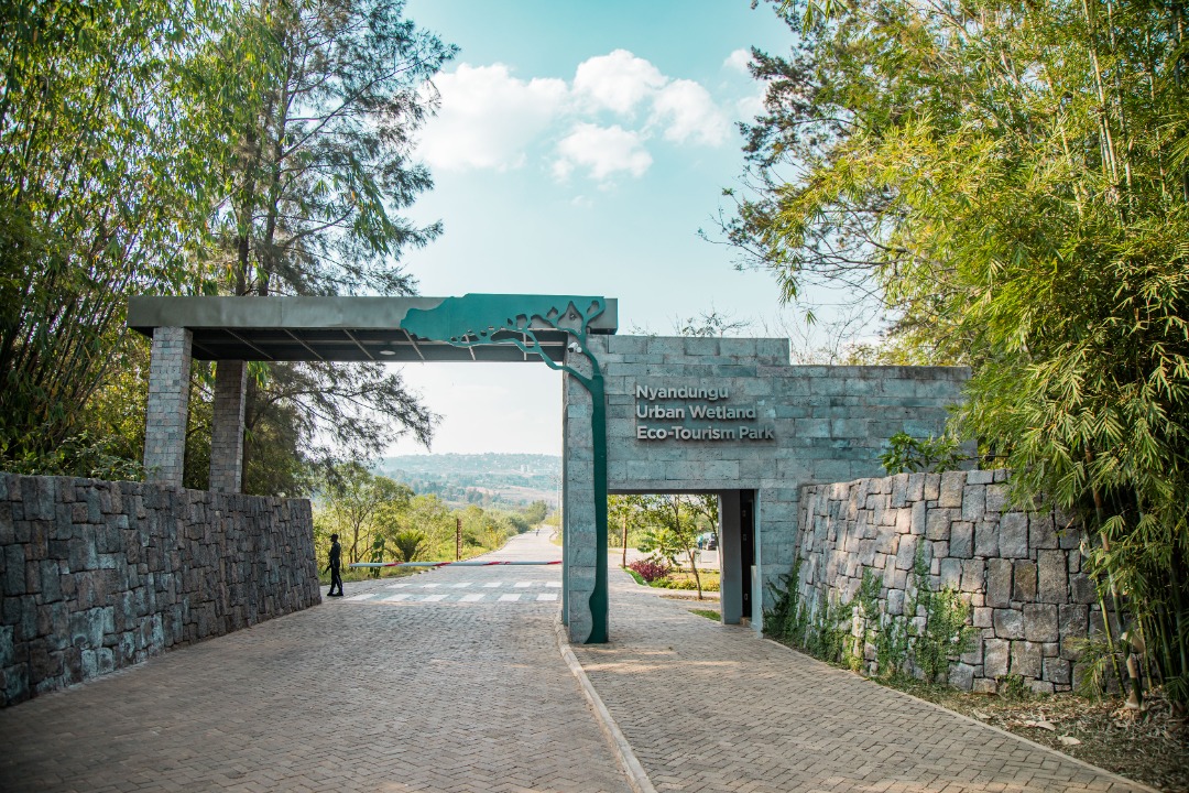 Nyuma ya Nyandungu hagiye gutunganywa ibindi bishanga bitanu muri Kigali