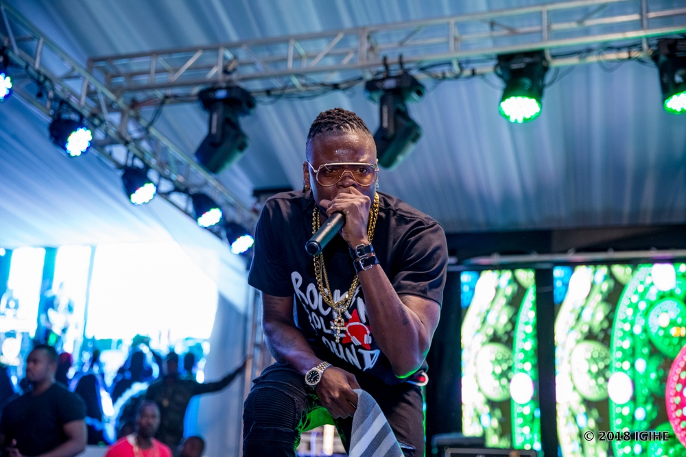 Pallaso, umuvandimwe wa Chameleone yaririmbye muri iki gitaramo