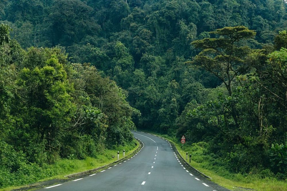 Pariki y'Igihugu ya Nyungwe yuje isuku itangaje