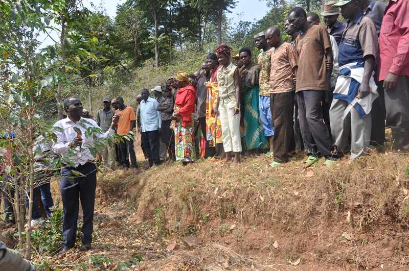 Pontien asobanurira abaturage uko kawa ikorerwa
