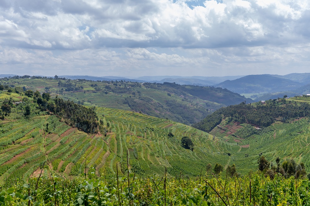Aya materasi yo muri Mukarange mu Karere ka Gicumbi yakozwe ku bufatanye n'Ingabo z'u Rwanda