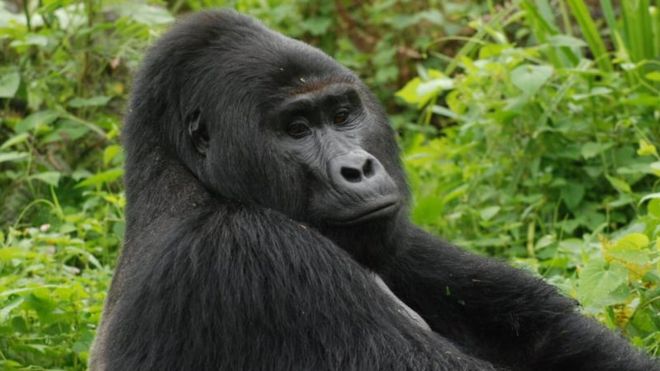 Rafiki yasanzwe yapfuye nyuma y'iminsi 11 ishakishwa
