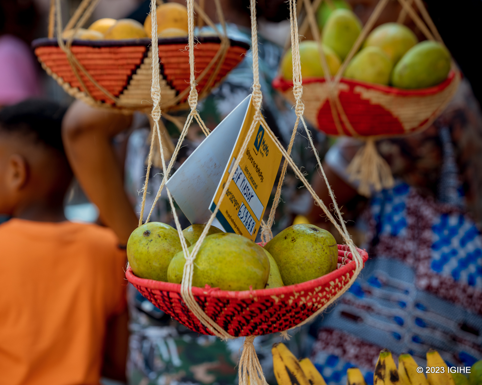 Avoka ni rumwe mu mbuto zaje kumurikwa muri Expo
