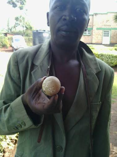 Igi imbata ya Sibomana yateye