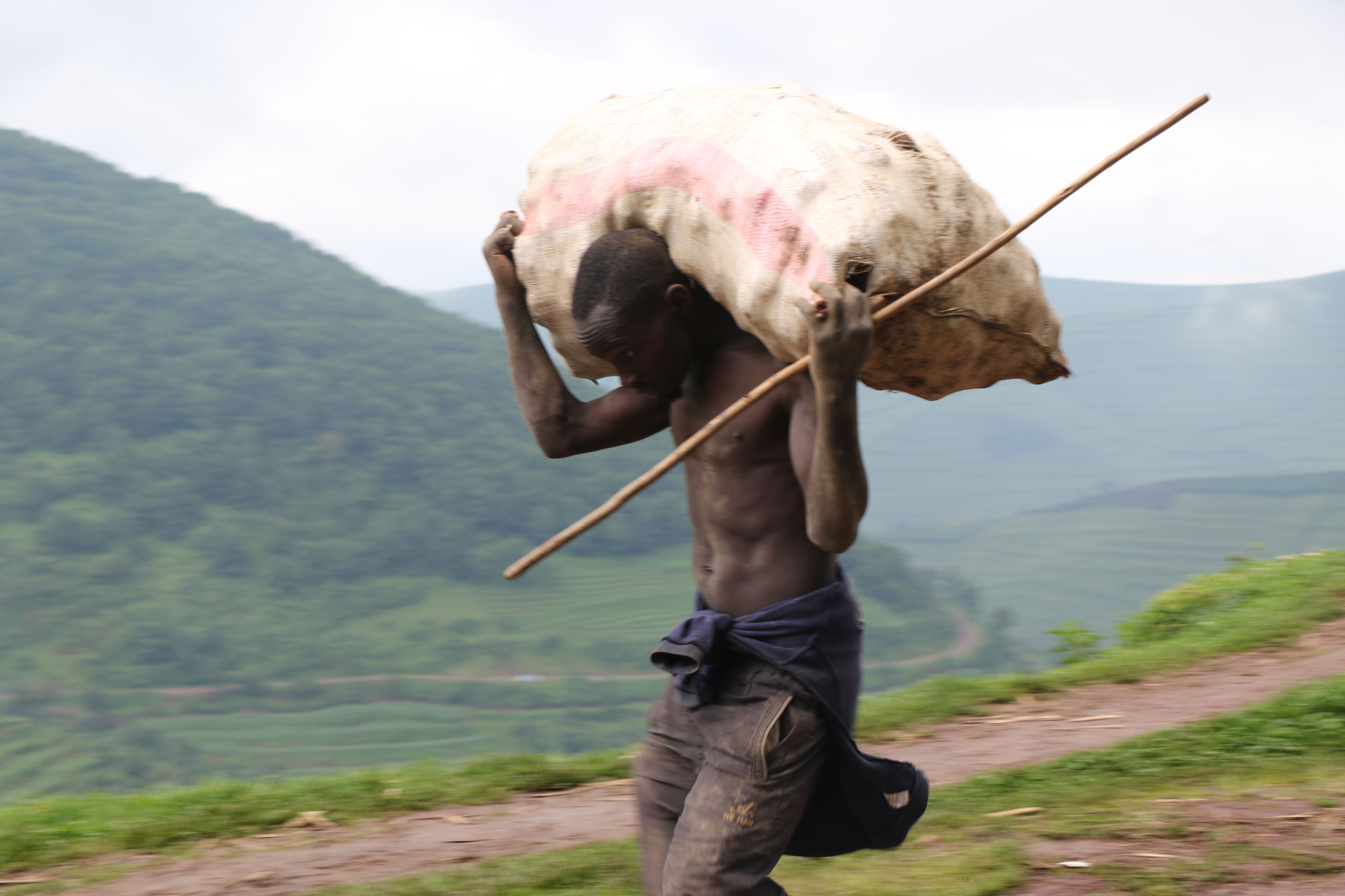 Umusaruro wariyongereye aho umushinga wo kubungabunga icyogogo cya Sebeya wakoreye