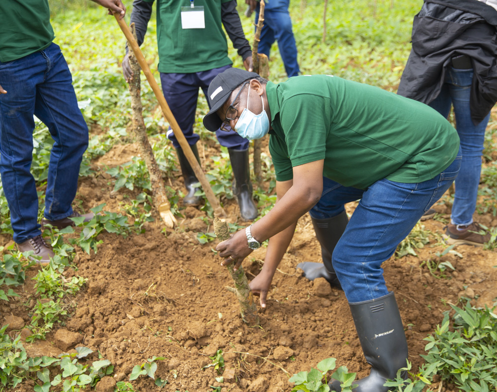 Umuyobozi Mukuru wa ARCOS Network, Dr. Kanyamibwa Sam, atera igiti