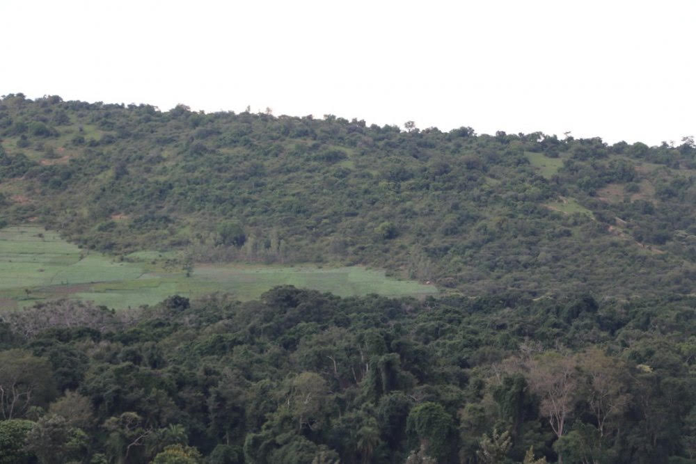 Ishyamba rya Ibanda-Makera rishobora gutangira gusurwa mu minsi mike iri imbere