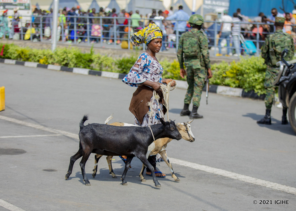 Mu bahunze iruka ry'ikirunga harimo n'abahunganye n'amatungo
