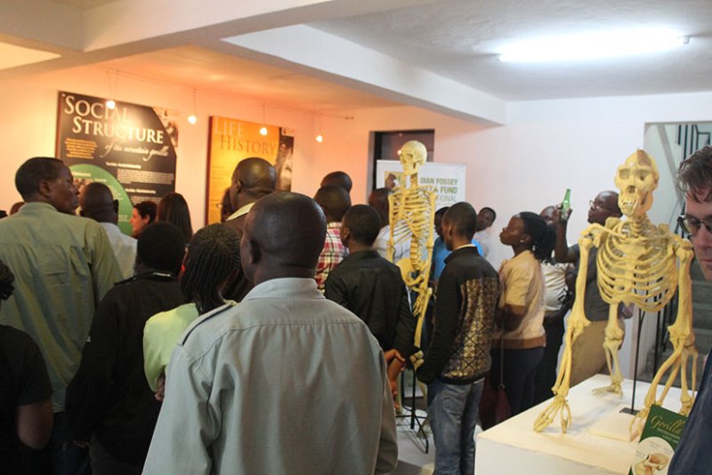 Abantu bose bifuza kugira ibyo bamenya ku ngagi bahawe ikaze muri iyi nzu