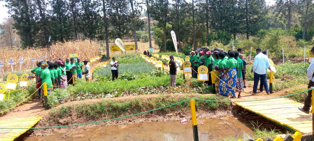 U Rwanda rwanyomoje amakuru avuga ko rubereyemo umwenda ikigo cyo muri Kenya gitubura imbuto