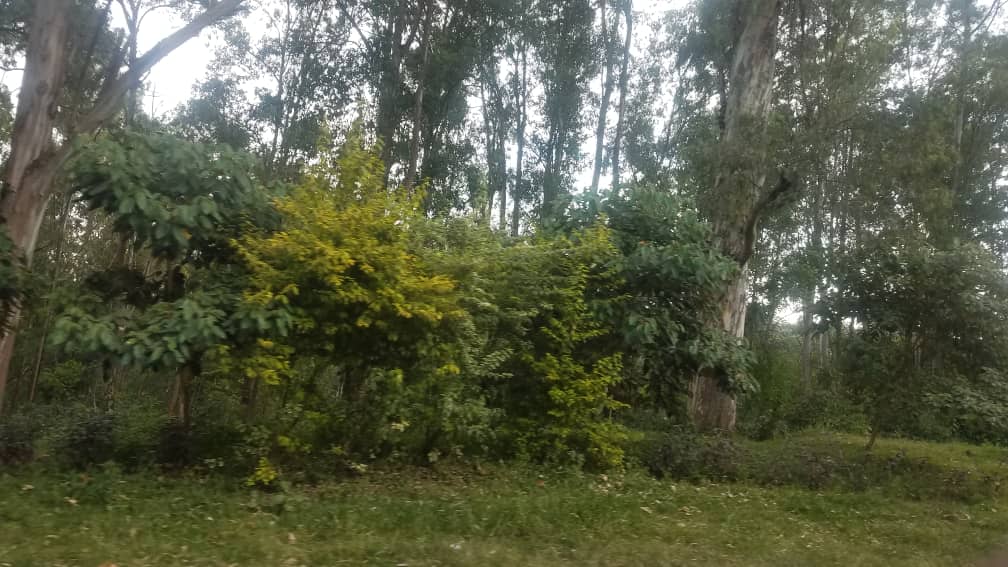 Abakekwaho ibi byaha bahise bafatwa