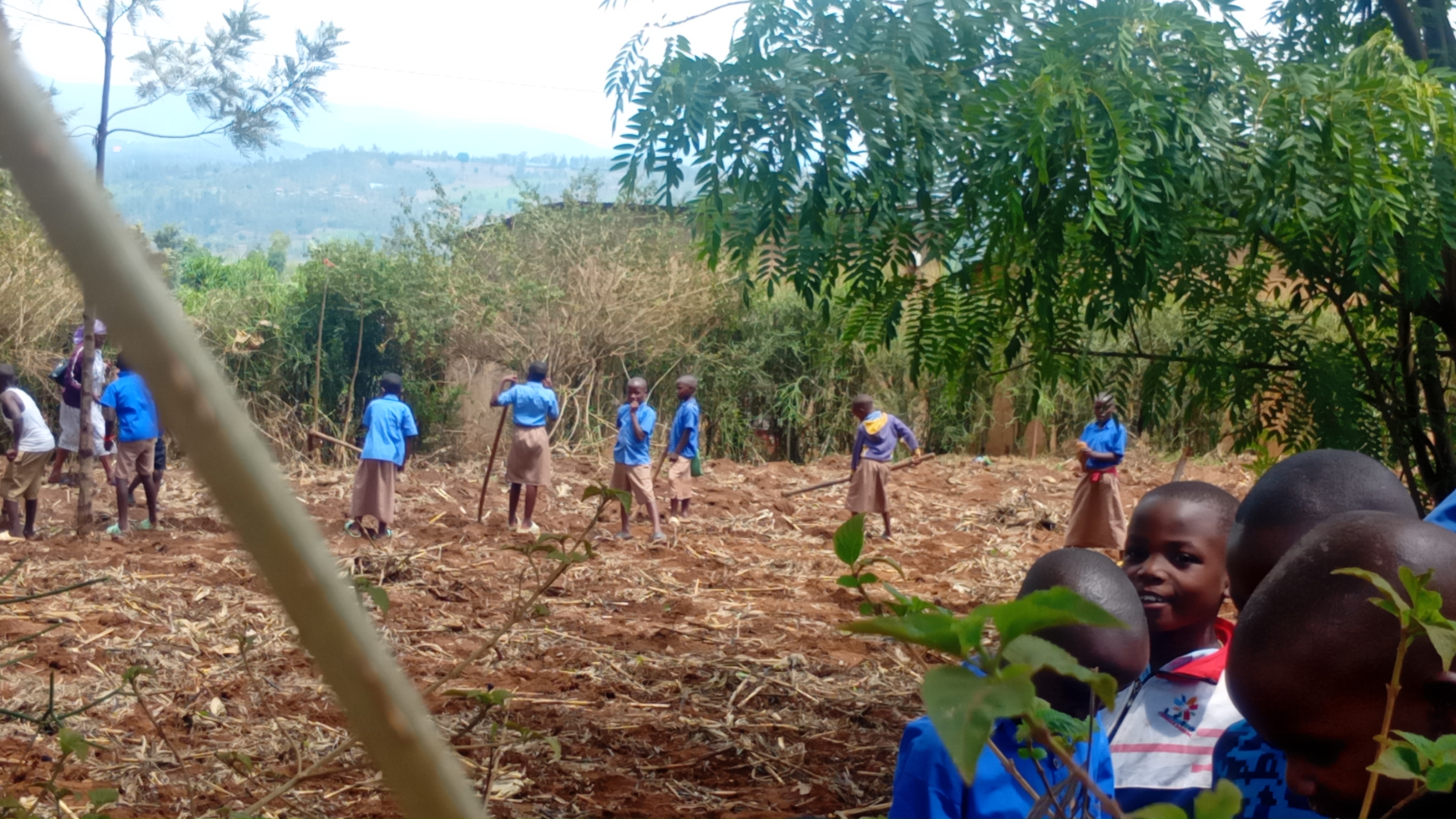 Nyagatare: GS Cyabayaga TSS irashinjwa guhingisha abana mu masaha y’amasomo