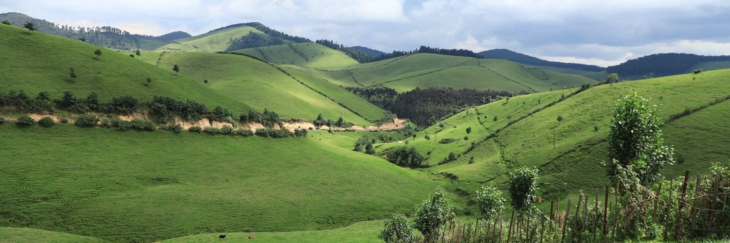 Leta yakuye urujijo ku gikorwa cyiswe gutanga inzuri muri Gishwati