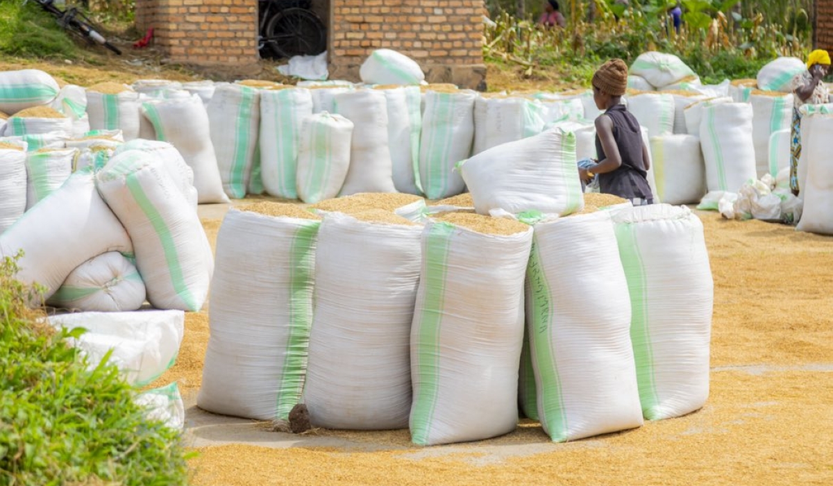 Impamvu yo kubura isoko k’umuceri uhingwa mu Rwanda mu mboni za Minisitiri Sebahizi