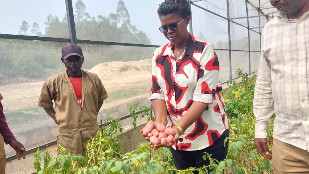 Ruhango: Yashoye miliyoni 200 Frw mu guhashya ikibazo cy’ibura ry’imbuto y’ibirayi