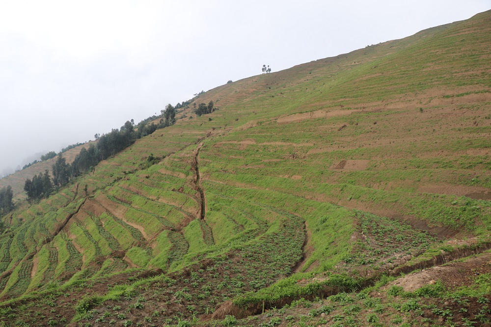 Hegitari zirenga miliyoni imwe zishobora kwibasirwa n'isuri mu Rwanda