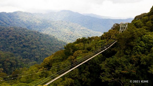 Pariki ya Nyungwe iratanga icyizere cyo kwandikwa mu murage w’Isi