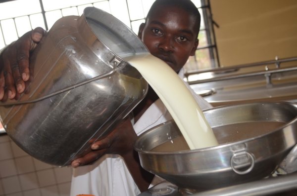 Amata angana na 60% yo mu Gishwati ntacyakirwa ku makusanyirizo kubera ifumbi