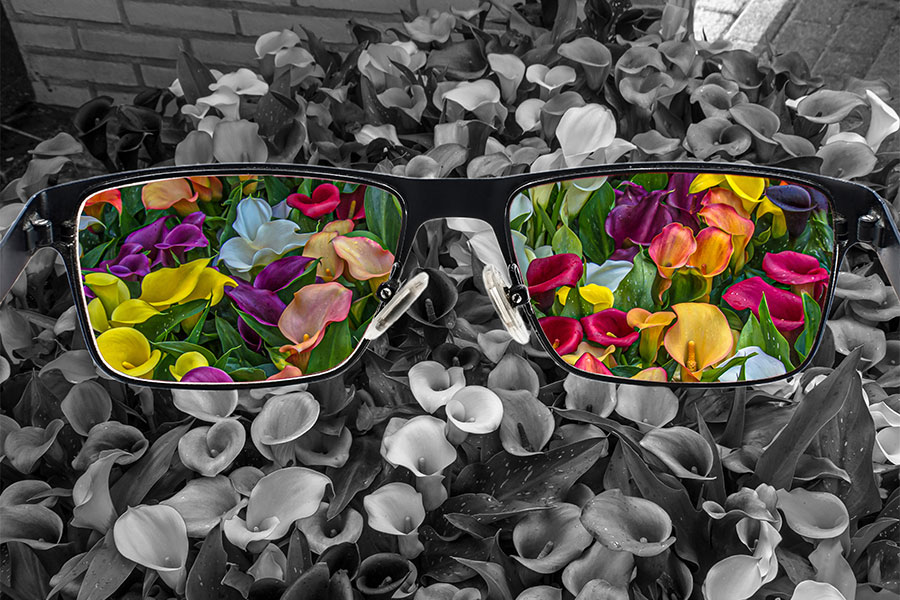 Ibyo wamenya ku burwayi bwo kwitiranya amabara bwibasiye benshi ku Isi