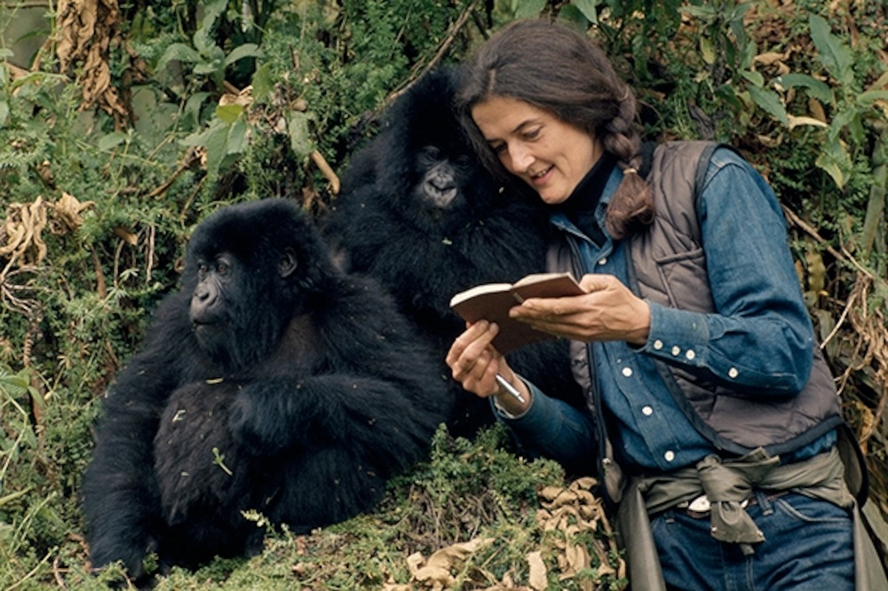 Ni nde wishe Dian Fossey?