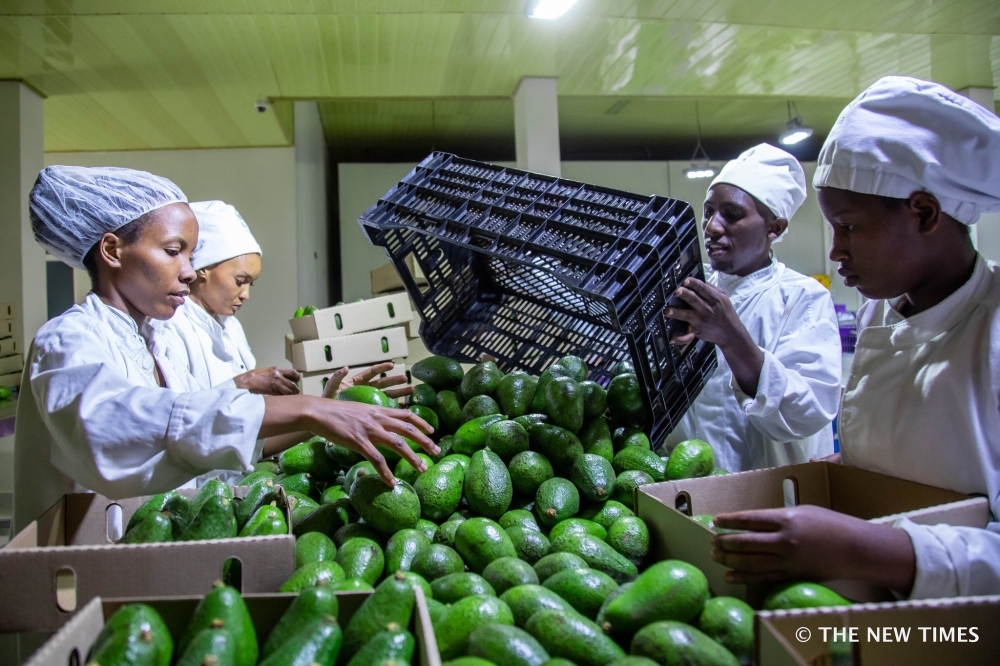 Ibikomoka ku buhinzi byinjirije u Rwanda arenga miliyari 15 Frw mu minsi itanu