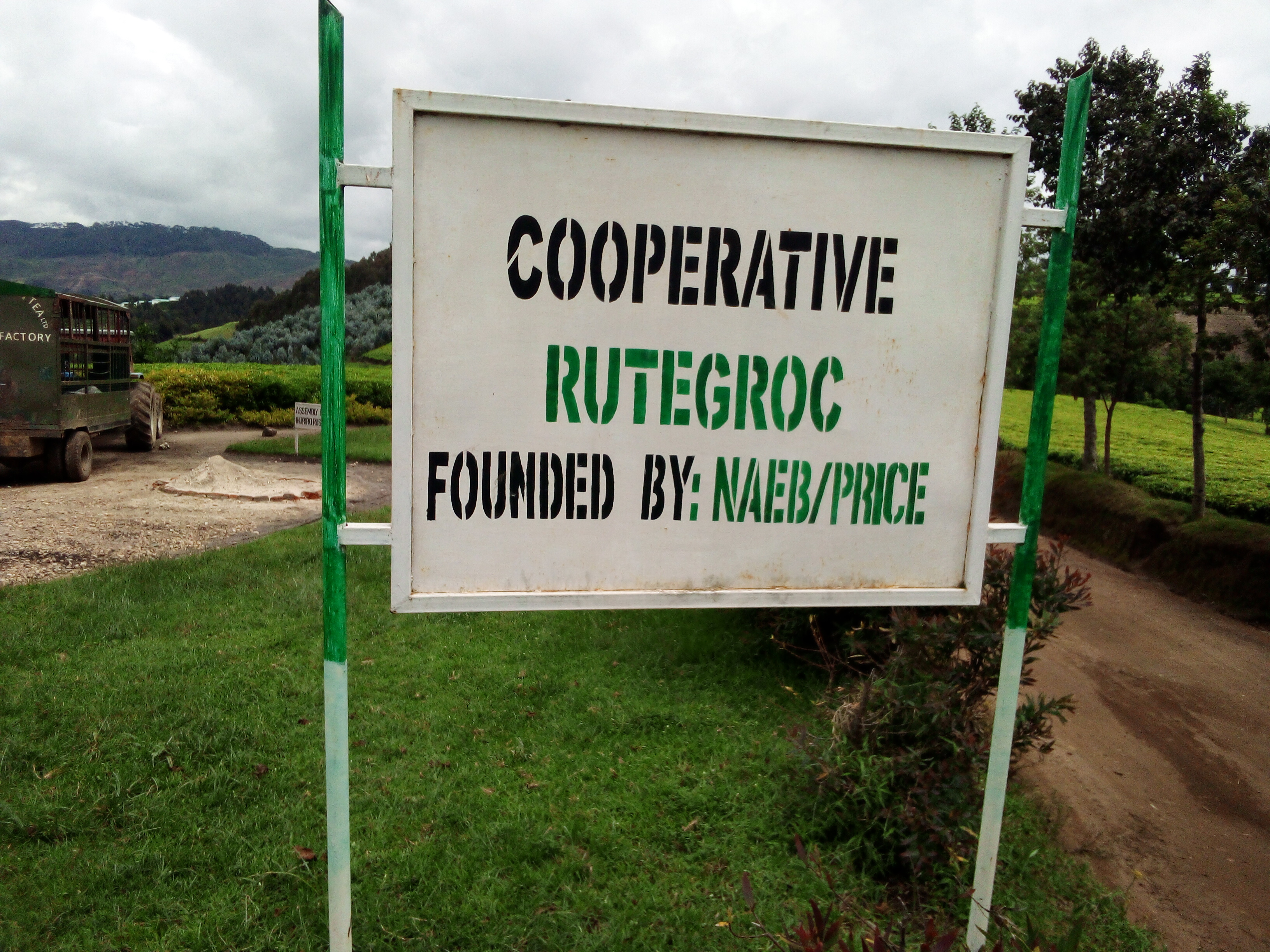 Rutsiro: Abahinzi b’icyayi barijujutira ubuyobozi bwa  Koperative idatanga umucyo ku nguzanyo bishyuzwa