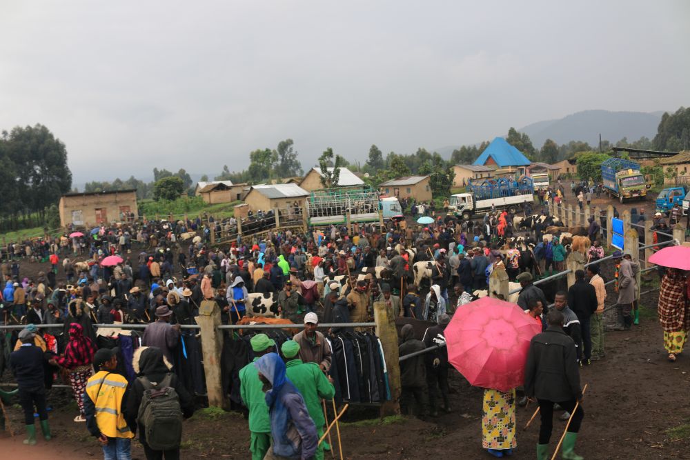 Rubavu: Abakorera mu isoko ry’inka rya Kanzenze barinubira ko ridasanwa