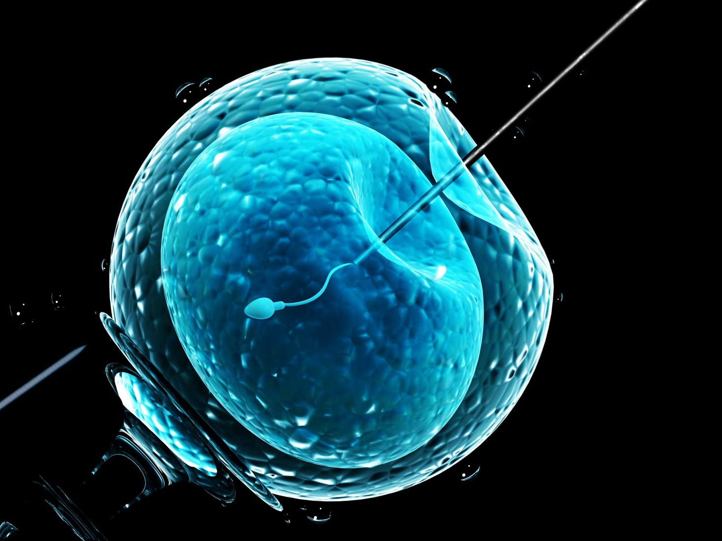 Uko ikoranabuhanga rya IVF rishobora kuba igisubizo ku babuze urubyaro