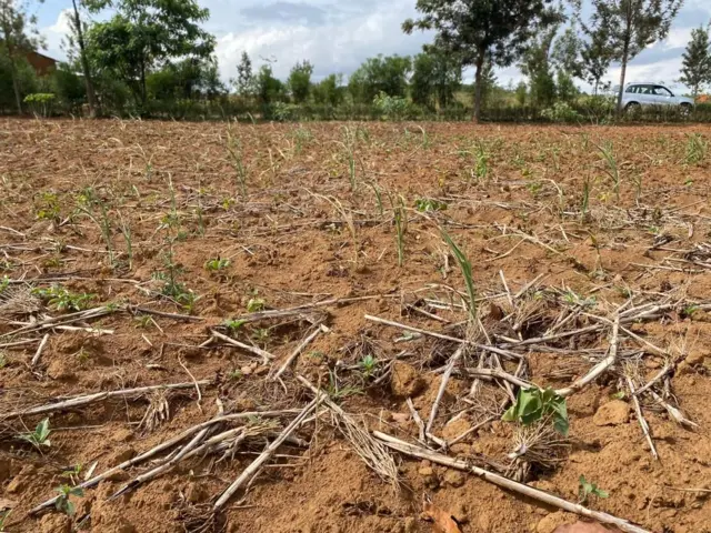 Meteo Rwanda yateguje ubushyuhe bugera kuri 32°C mu kwezi kwa Nyakanga