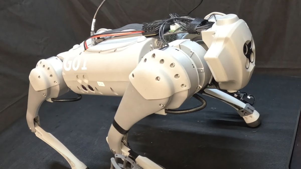 Imikorere ya LocoMan, robot iteye nk’imbwa igakora nk’abantu