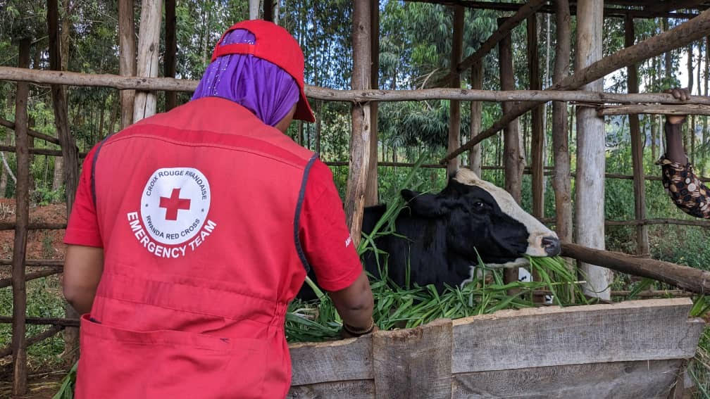 Gatsibo: Uko Croix Rouge yahinduye imibereho y'abanye-Congo baba mu nkambi n'abanyarwanda bayituriye