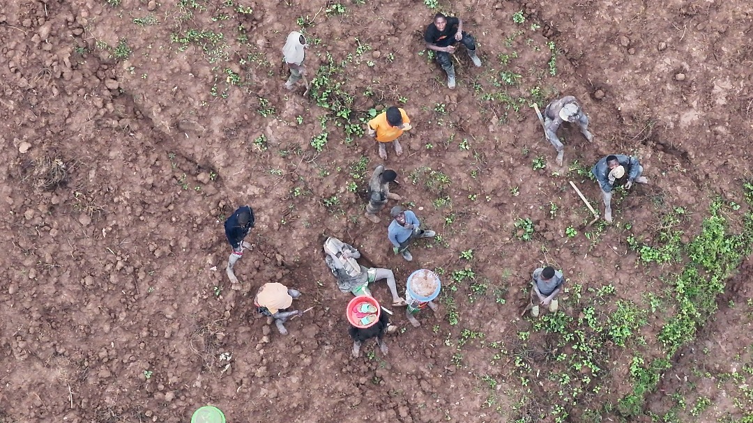 Musanze: Hifashishijwe 'drone,' Polisi yafashe 24 bangizaga imirima y’abaturage bayishakamo zahabu