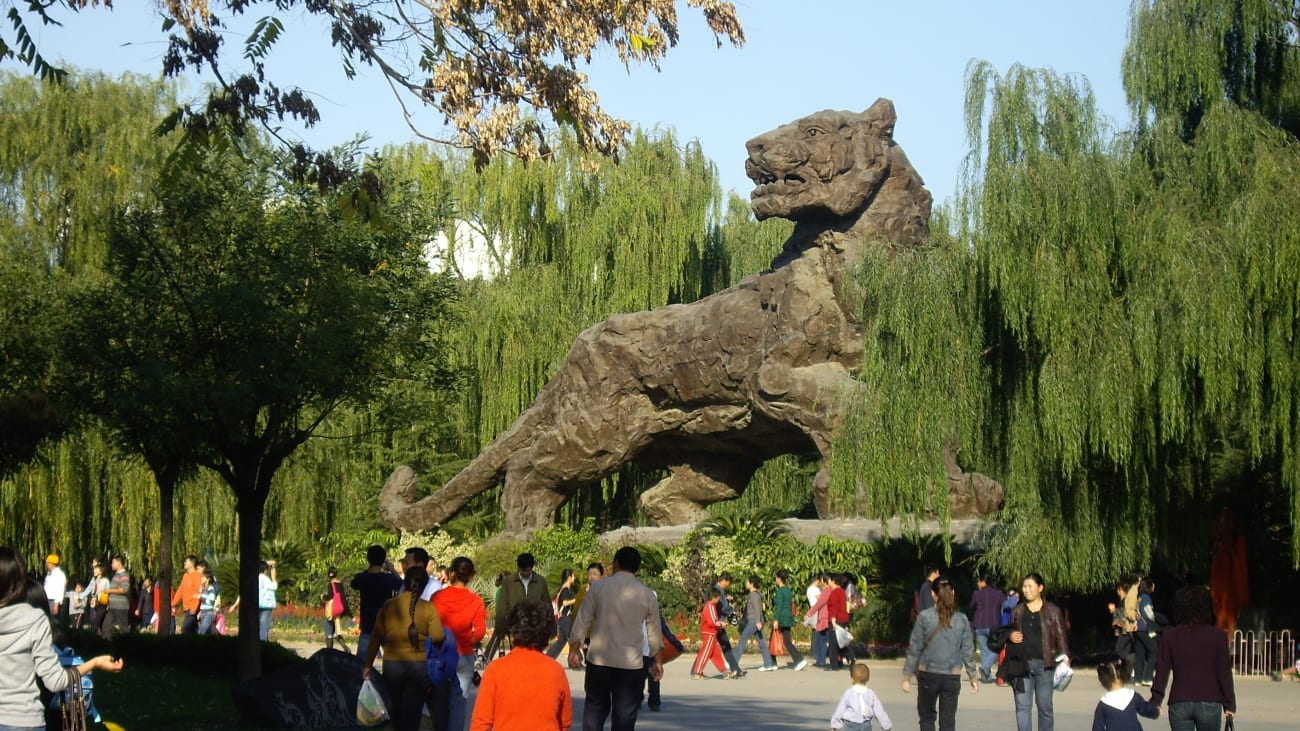 Tujyanye muri Beijing Zoo: Inyamaswa 5.000 zahurijwe mu mujyi rwagati