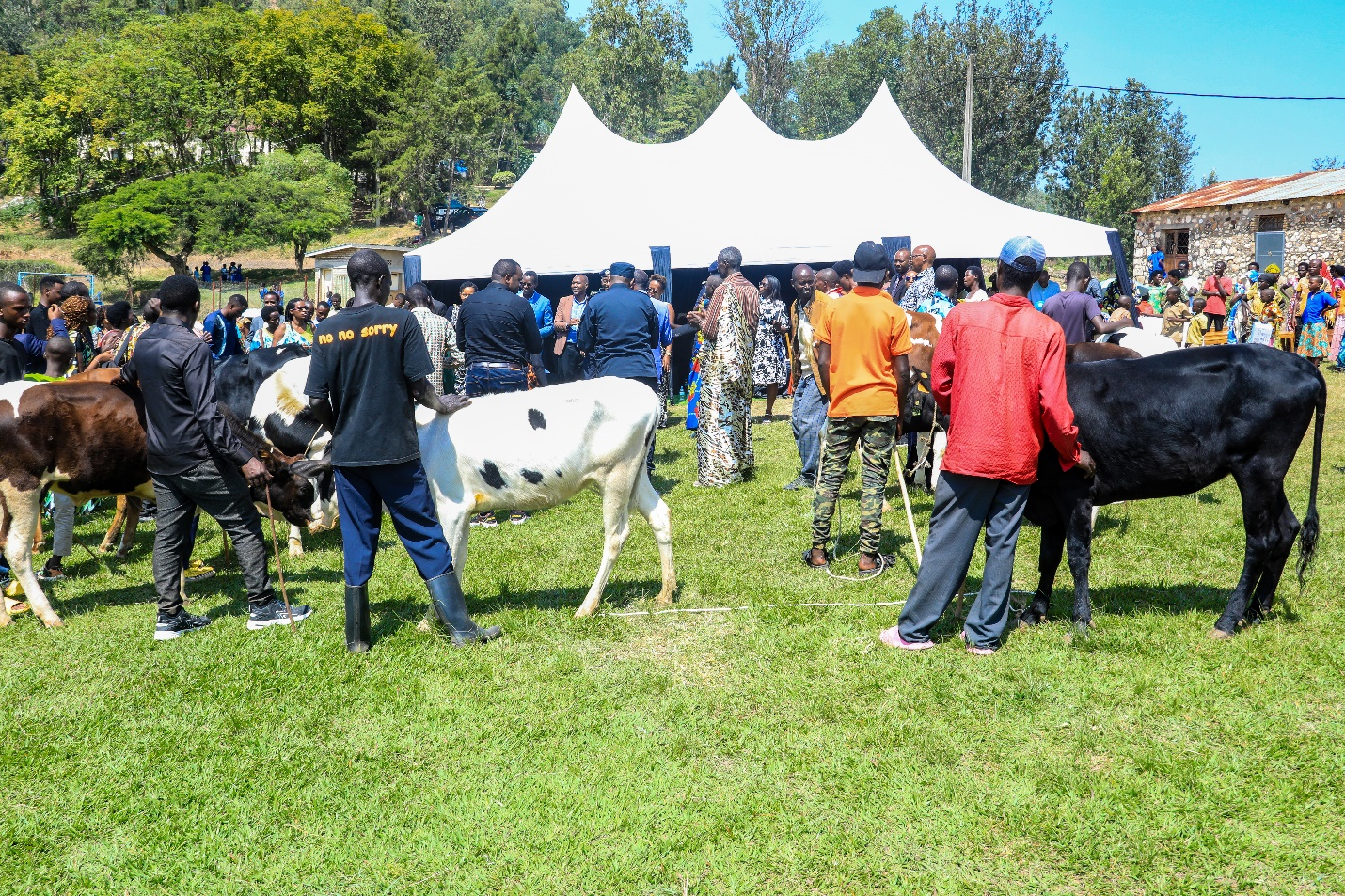 Horojwe imiryango 10
