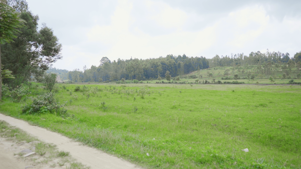 Igishanga cya Bukomero bivugwa ko ari cyo Mbonyumutwa yakubitiwemo urushyi rukirangira mu dusozi tugikikije