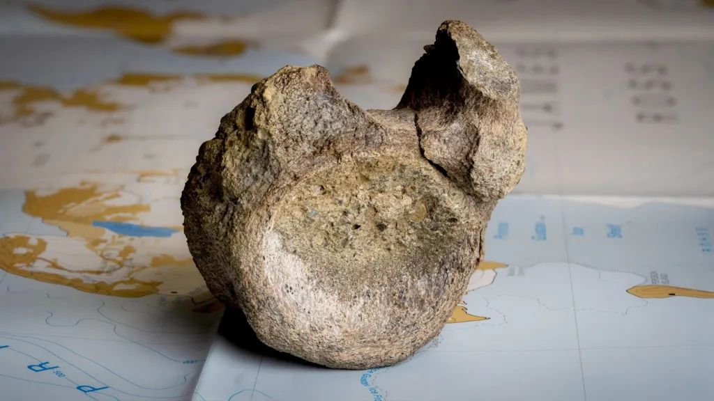 Iri gufa bitekerezwa ko ari irya Dinosaure yabayeho mu myaka miliyoni 80 ishize