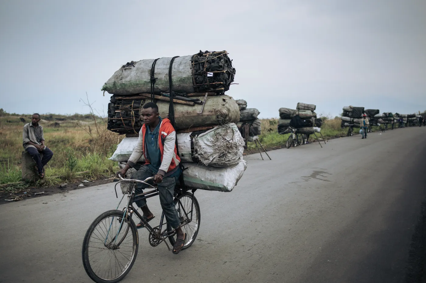 Igice kinini cy'amakara akoreshwa i Goma gituruka muri Pariki y'Igihugu ya Virunga, igenzurwa ku gice kimwe na FDLR